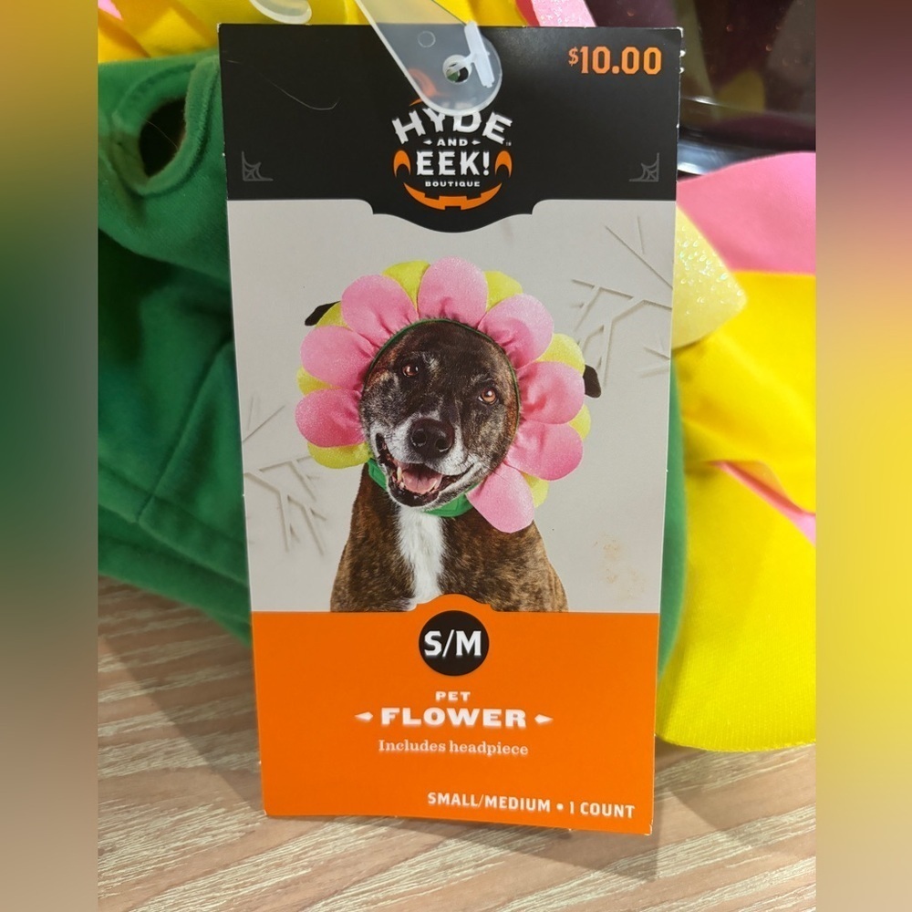 Pet Halloween Costume